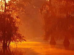 Sunrise, Atchafalaya Basin, Louisiana